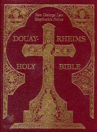 Book of Tobit (Tobias) by Douay-Rheims Version