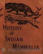 Natural History of the Mammalia of India and Ceylon by Robert Armitage Sterndale